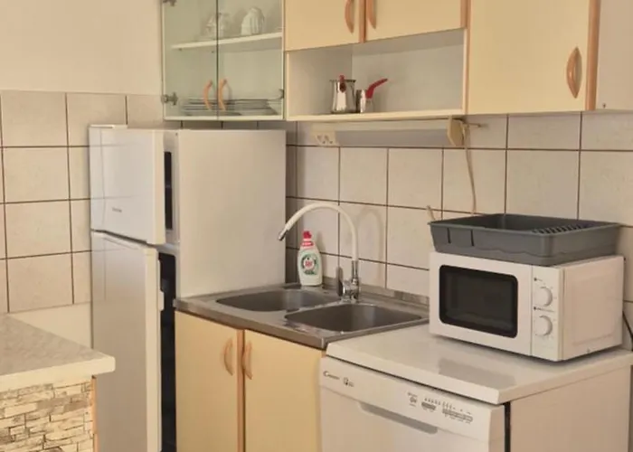 Snjezana Liveric Vir